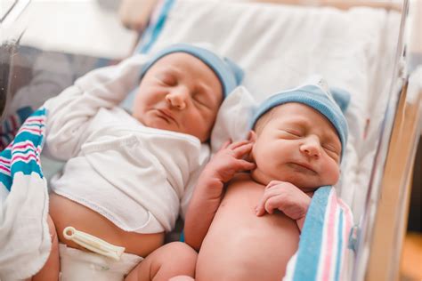 newborn twins fresh  prentice hospital photographer hannah drews