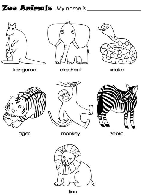 zoo animals printable coloring pages zoo animal coloring pages zoo
