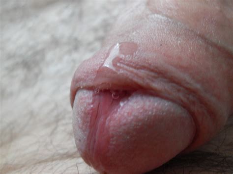 home porn close up of my cock head with pre cum