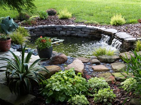 build  raised pond   garden clickhowto