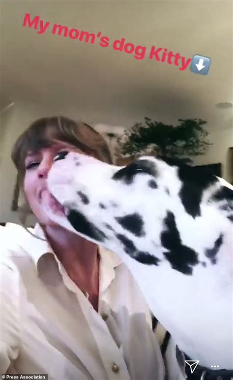 Taylor Swift Slobbered By Mom S Enormous Great Dane Kitty As She Gives