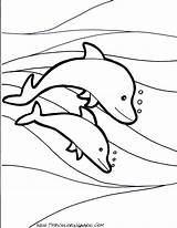 Dolphin Dolphins Dofins Delfines Coloringhome sketch template