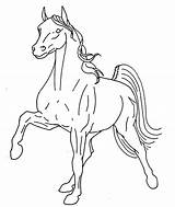 Horse Walking Tennessee Deviantart Deviant Downloads sketch template
