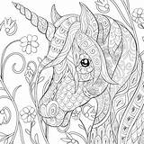 Unicorn Coloring Adult Illustration Cute Book Relaxing Zen Style Vector Corn Abstract Zentangle Mustang Stylized Horse sketch template