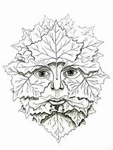 Greenman Sycamore Pagan Carving sketch template