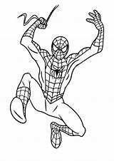 Spiderman Araña sketch template
