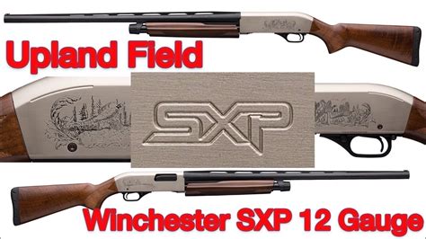 winchester sxp  gauge upland field unboxing field strip assembly youtube