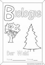 Deckblatt Biologie Ausmalen Ausdrucken Ausmalbilder Deckblätter Einschulung Schulbeginn Wald sketch template