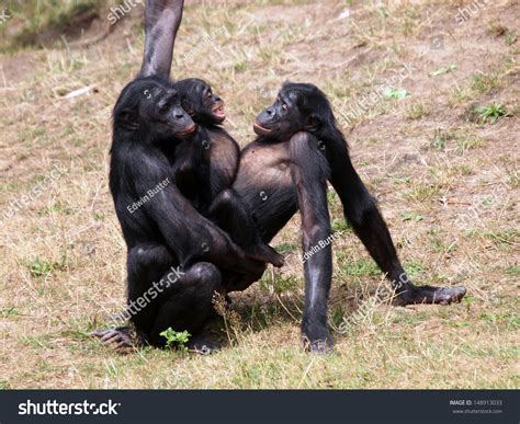 Photos of wild women having sex