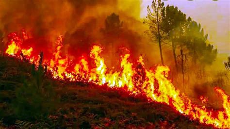 forest fires  uttarakhand ht editorial hindustan times
