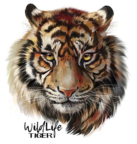 tiger watercolor painting cool digital photography