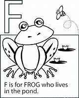 Coloring Frog Eyed Tree Red Pages Getcolorings Frogs sketch template