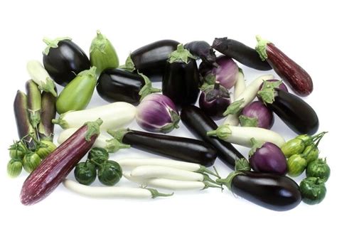 fun facts  aubergines love  salad