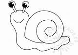 Snail Drawing Cartoon Coloring Clipart Pdf sketch template