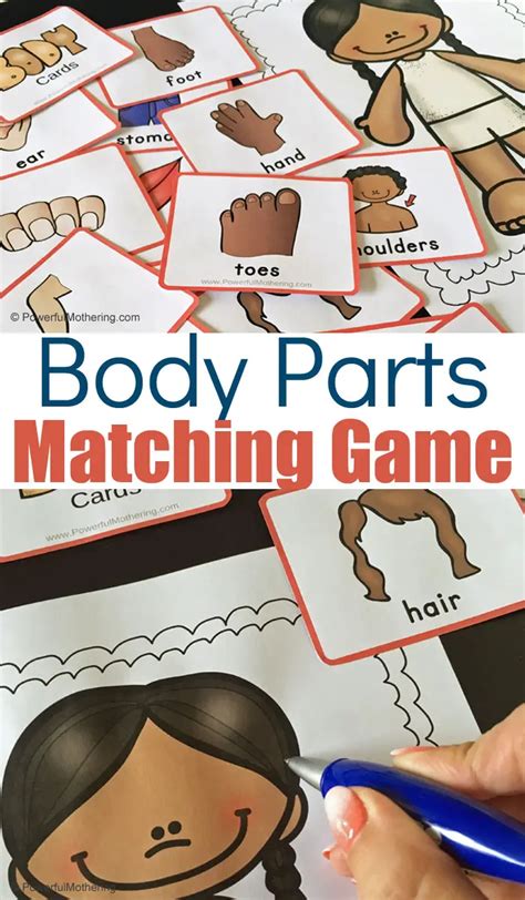 printable pictures  body parts  preschoolers  printable