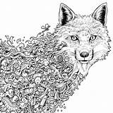 Coloring Pages Fox Stress Anti Doodle Colouring Printable Adult Animal sketch template