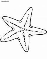 Starfish Outline Star Fish Clip Clipart Printable Cartoon Pages Coloring sketch template