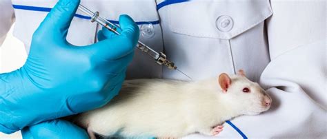 scoop lawmakers demand info  horrific  inhumane animal testing  epa  daily caller
