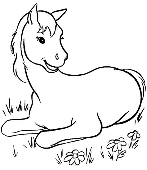 horse color sheet horse coloring books horse coloring pages horse