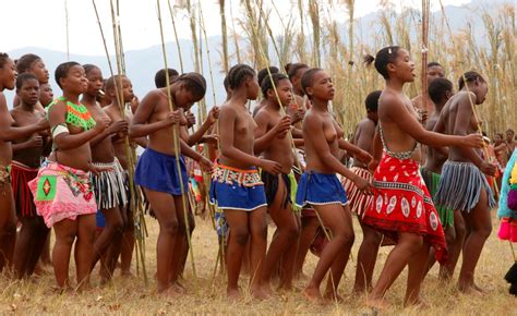Southern Africa Reed Dance A Cultural Event That Has