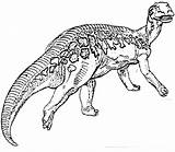 Edmontosaurus Dinossauros Hotmail sketch template