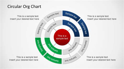 Free Circular Organizational Chart Template