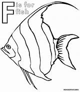 Coloring Fish Pages Color Angelfish Butterfly Getcolorings sketch template