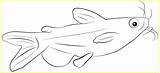 Ikan Sketsa Lele Lokal Sindunesia Tawar sketch template
