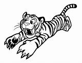 Tiger Coloring Baby Pages Printable Kids sketch template