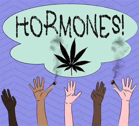 Why Does Weed Affect Men And Women Differently Hint Sex Hormones
