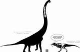 Sauroposeidon Argentinosaurus Brachiosaurus Tyrannosaurus Rex Aptian Theworldofanimals Proboards sketch template