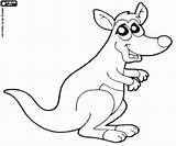 Wallaby Coloring Designlooter 03kb 250px Kangaroo Small sketch template