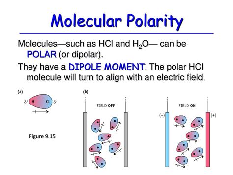 polarity powerpoint    id
