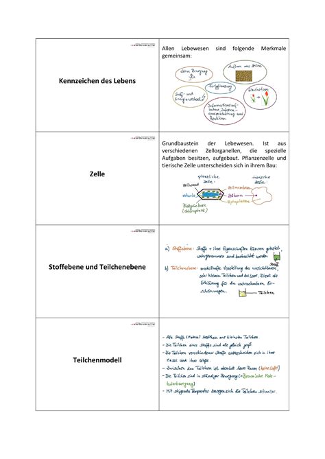 kennzeichen des lebens zelle stoffebene und teilchenebene