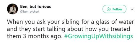 20 Funny Tweets That Perfectly Sum Up The Brother Sister Relationship