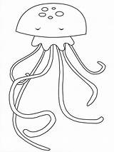 Jellyfish Marinhos Desenho Marinho Cavalo Colorear Oceano Em Moldes Jellies Cavalos Peixes Compartir Gaddynippercrayons Colorido sketch template