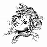 Medusa Drawing Sketches sketch template