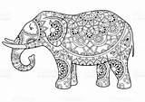 Coloring Adult Book Pages Elephant sketch template