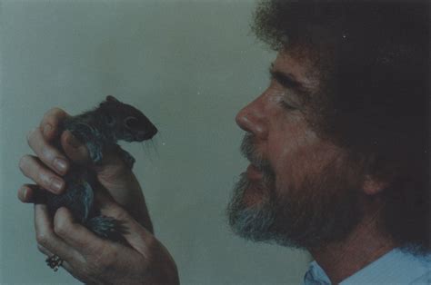bob ross loved happy little squirrels the washington post