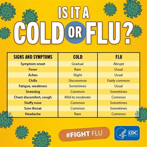 cold  flu cdc