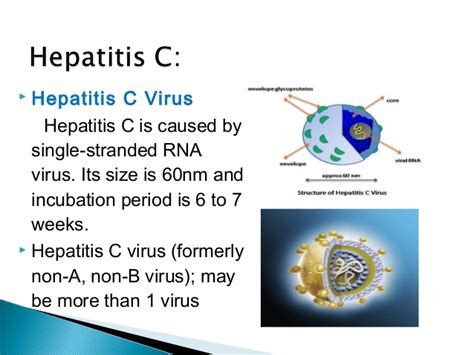 hepatitis c and its treatment