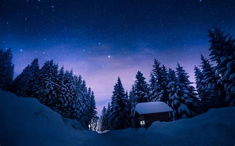 winter night forest wallpapers top  winter night forest backgrounds wallpaperaccess