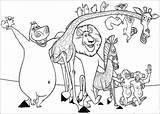 Madagascar Pinguinos Pinguine Reunidos Personajes Nilpferd Ausdrucken Amigos Recortar Pegar Hellokids Laminas Valeria Prof Rico Tudodesenhos Lesen Tigre Besten Coloriages sketch template