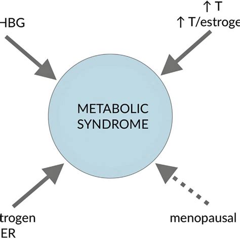 Relationships Between Sex Hormones And Metabolic Syndrome In Women Er