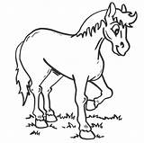 Konie Mammals Kolorowanki Gifyagusi sketch template
