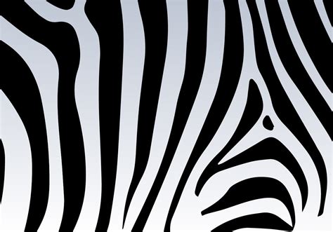 zebra pattern svg