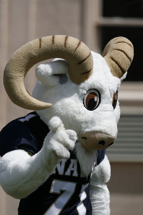 mascots  college football news scores highlights
