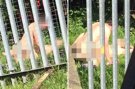 horny couple caught having sex just yards from brit
