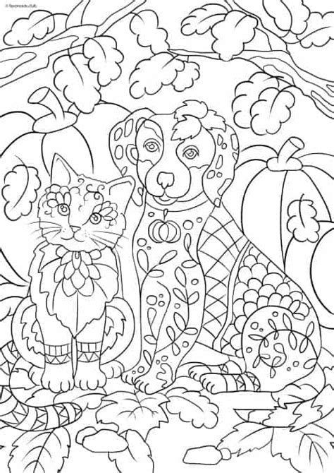cats  dogs cat  dog favoreads coloring club