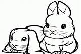 Bunny Coloring Cute Pages Rabbit Real Color Print Baby Kids Cat Popular Life Animals Some sketch template